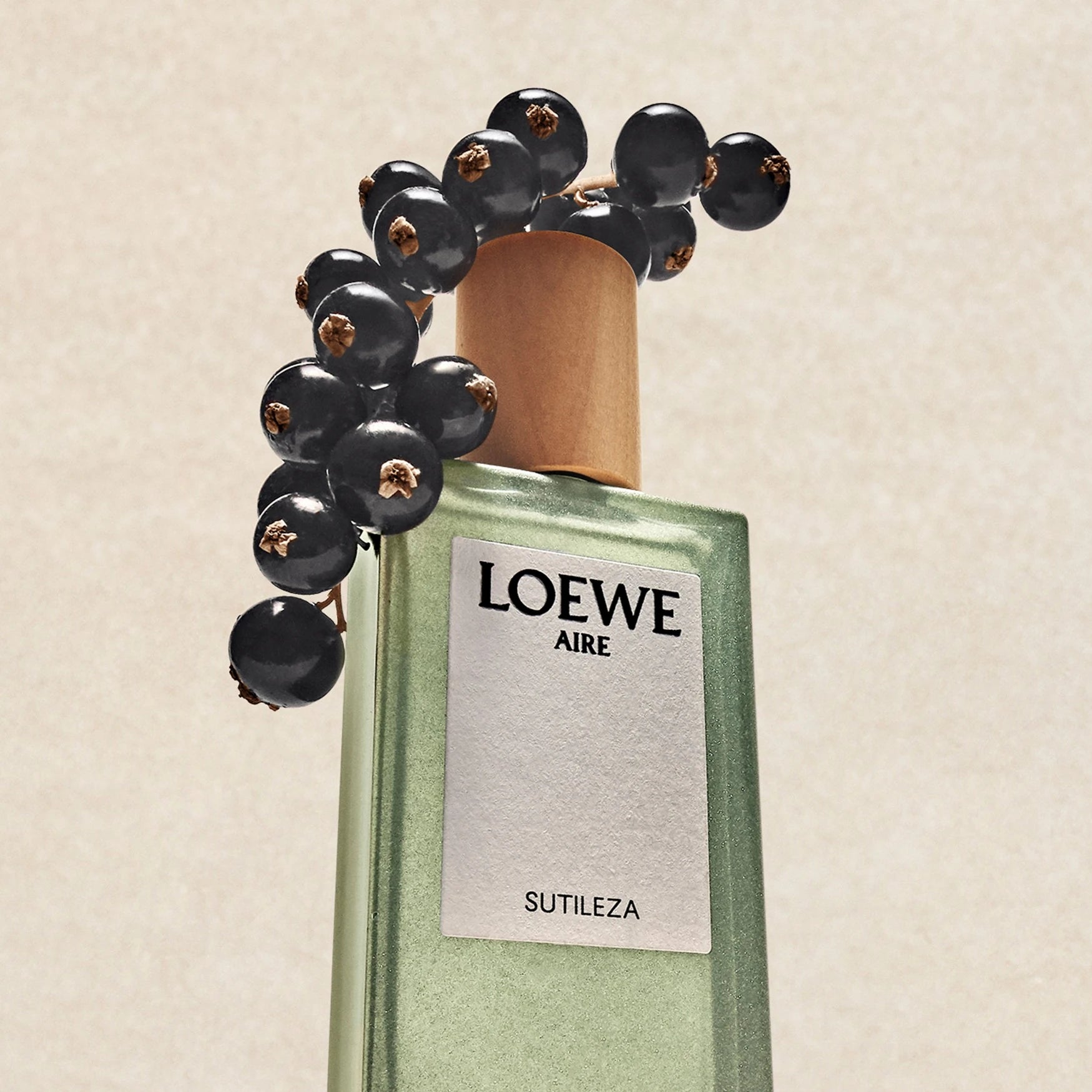 Originele LOEWE Aire Sutileza-campagne met parfumflacon en zwarte bessen