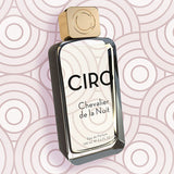 CIRO - CHEVALIER DE LA NUIT - mood shot