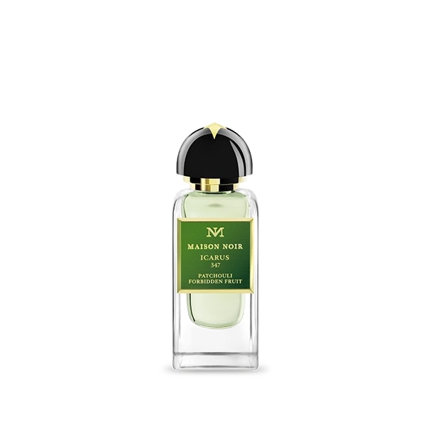 Maison Noir - Icarus 347 - Product shot