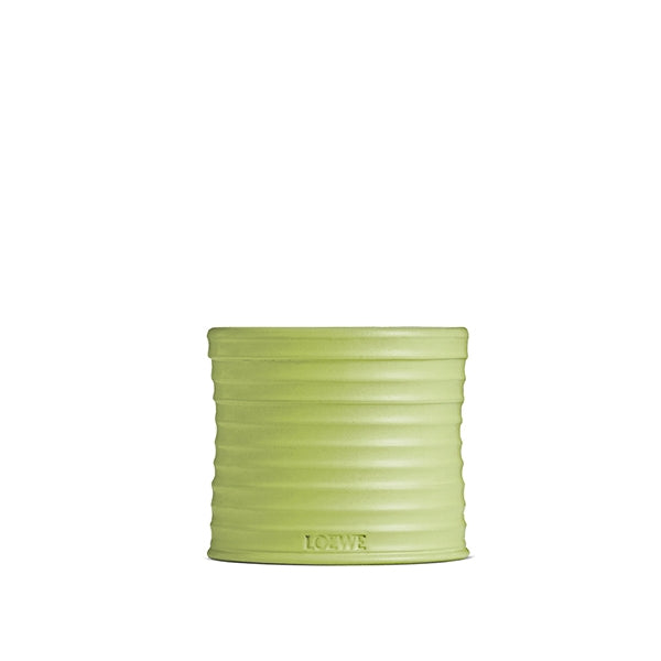 Cucumber Kaars