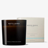 Coastal Cypress & Sea Fennel Luxury candle 600g — 2