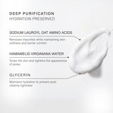 A promotional ingredient graphic for Dr Sebagh's Foaming Cleanser displayed with white foam texture smear on a light gray background with text callouts reading 'DEEP PURIFICATION HYDRATION PRESERVED' and ingredient benefits: sodium lauroyl oat amino acids, hamamelis virginiana water, and glycerin.