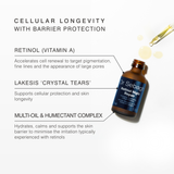 Dr Sebagh Retinol Night Repair key ingredients: cellular longevity with barrier protection