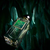 Maison Noir Icarus 347 — productbeeld
