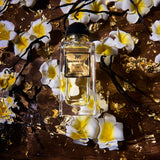 Maison Noir Somnia 517 — productbeeld