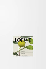 LOEWE Earl Grey Midi Candle 280g — 2