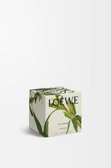 LOEWE Black Sesame Midi Candle 280g — 3