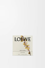 LOEWE Sweet Almond Midi Candle 280g — 2