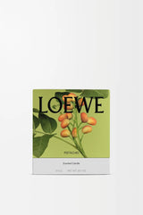 LOEWE Pistachio Candle Medium 610g — 2