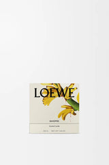 LOEWE Banoffee Midi Candle 280g — 2