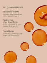 Balmy Tint Hydrating Lip Balm - ILIA Beauty Nederland