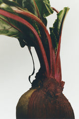 Beetroot wax candleholder