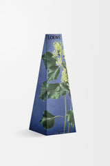 Ivy wax candleholder