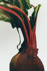Small Beetroot Candle
