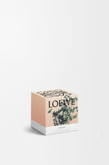 Small Oregano Candle