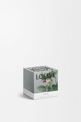 Small Honeysuckle Candle